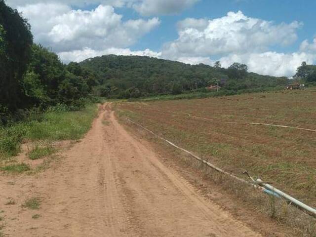 #17 - Chácara para Venda em Ibiúna - SP